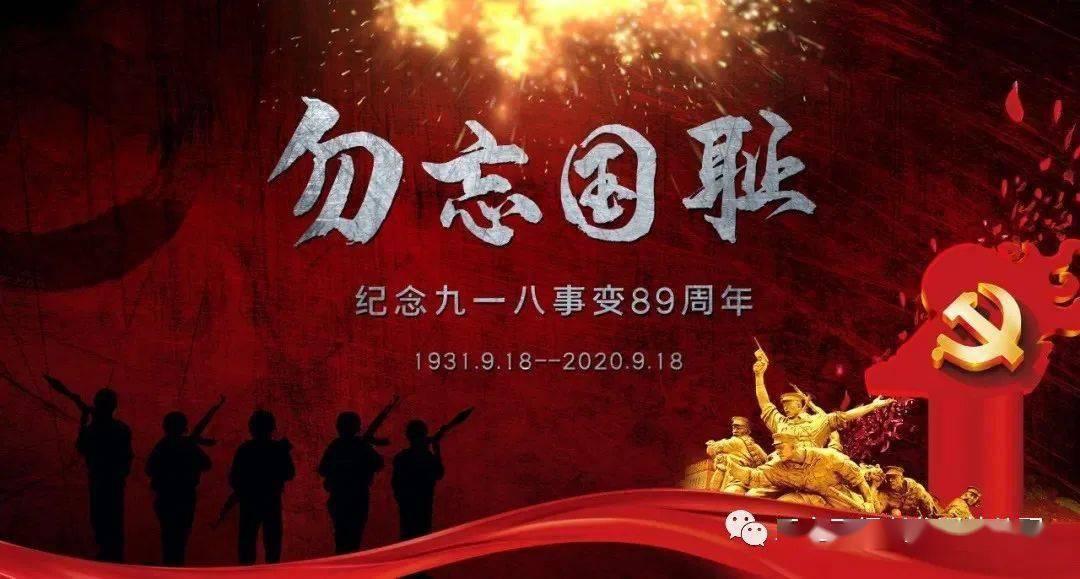 小猫钓鱼正版下载中文版